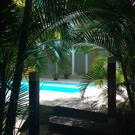 Chambre D'Hote Et Loft Dans Maison De Charme Piscine A Debordement La Villa Gialla Schoelcher Exteriér fotografie