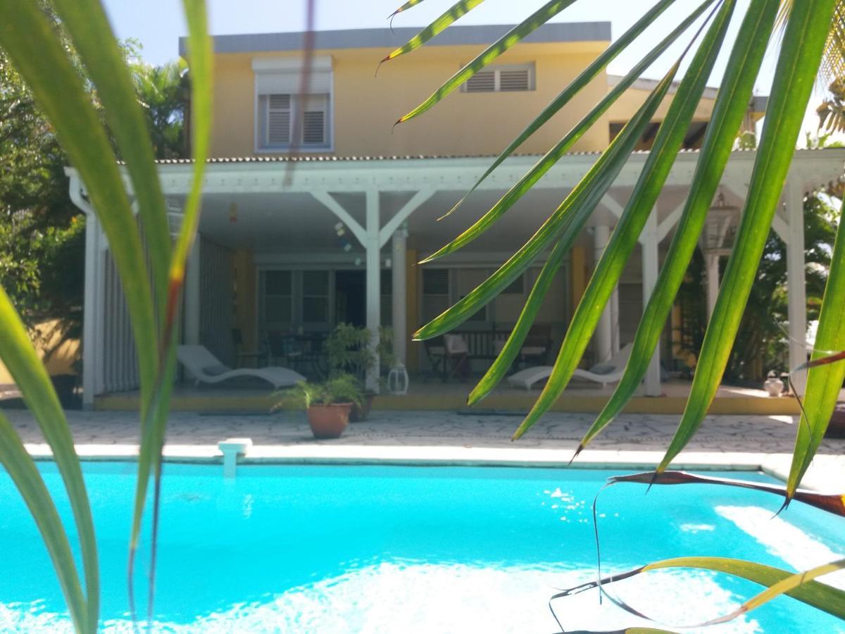 Chambre D'Hote Et Loft Dans Maison De Charme Piscine A Debordement La Villa Gialla Schoelcher Exteriér fotografie