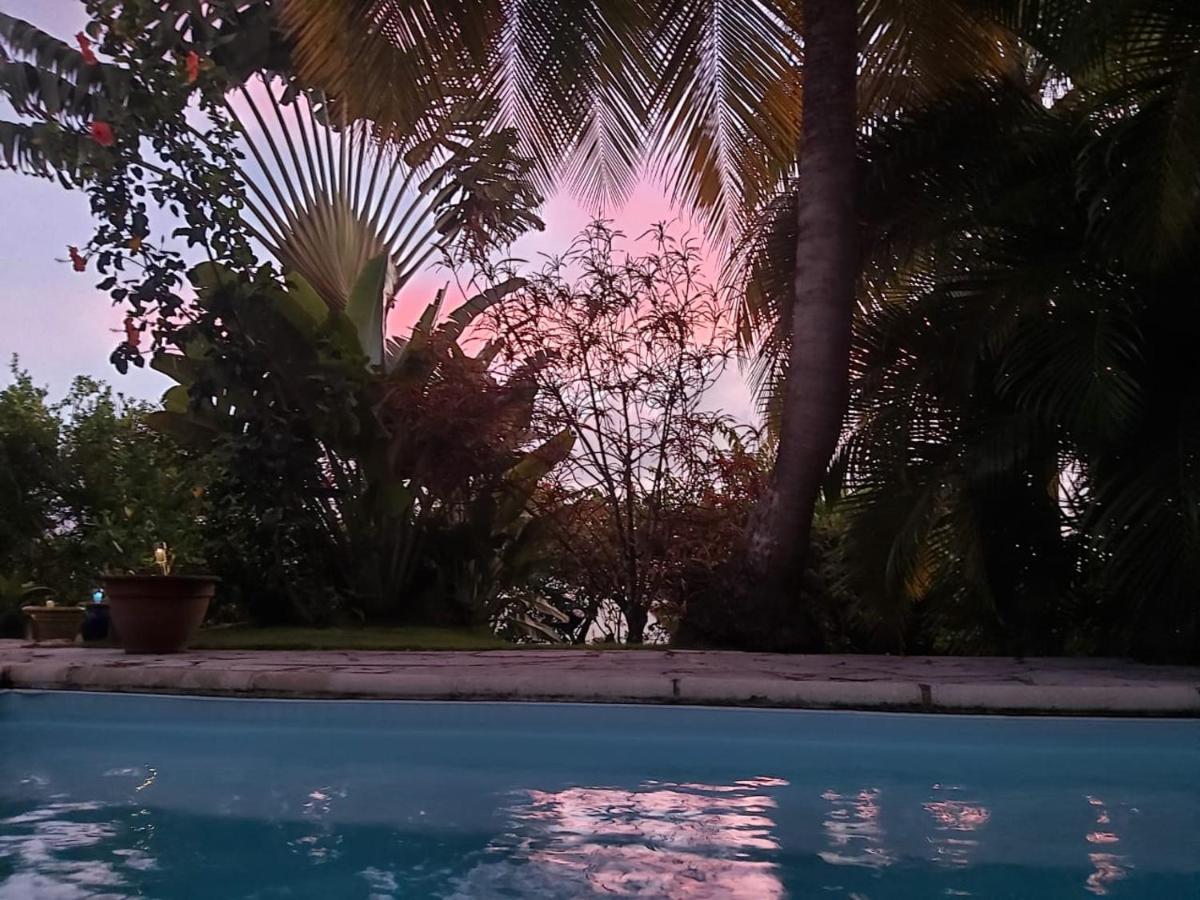 Chambre D'Hote Et Loft Dans Maison De Charme Piscine A Debordement La Villa Gialla Schoelcher Exteriér fotografie