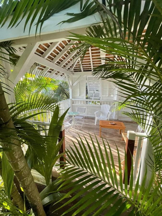 Chambre D'Hote Et Loft Dans Maison De Charme Piscine A Debordement La Villa Gialla Schoelcher Exteriér fotografie