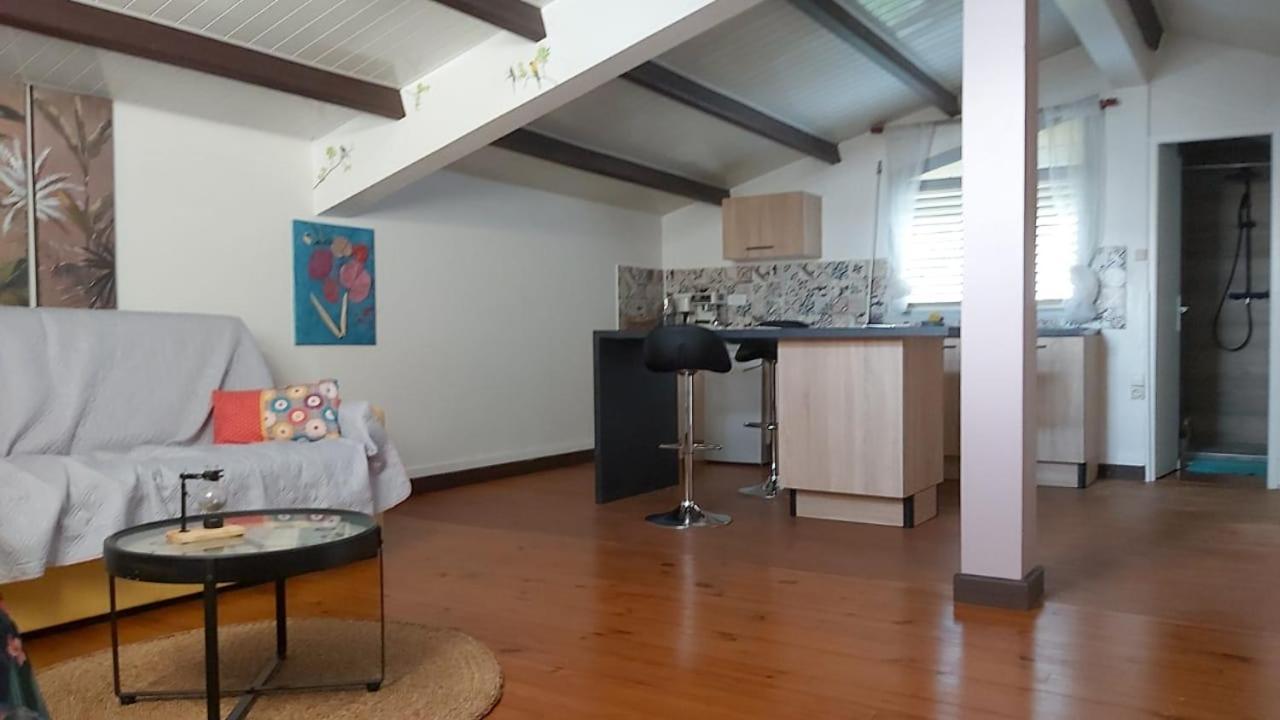 Chambre D'Hote Et Loft Dans Maison De Charme Piscine A Debordement La Villa Gialla Schoelcher Exteriér fotografie